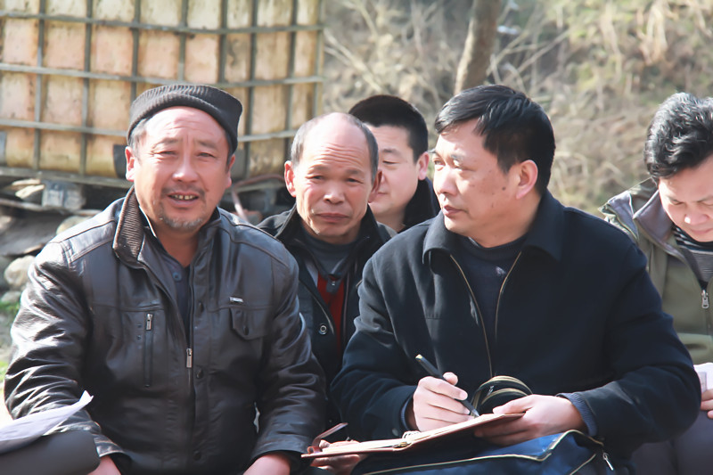 ���ܸɲ���ƶ����